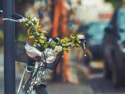 Bike Bicycle Basket blur