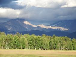 Mountains Forest Field