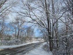 Snow Road Nature