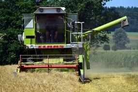 Harvest Grain Agriculture