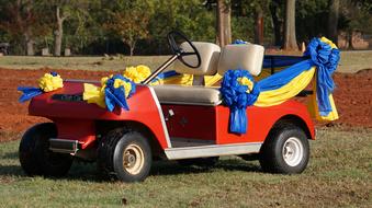 Golf Car Vehicle Wedding