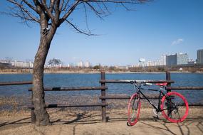 Bike Bicycle Wheel