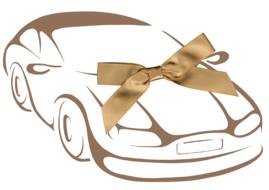 auto vehicle gift gift loop gold