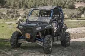 Buggy Car Vehicle