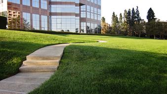 Sidewalk Street Grass