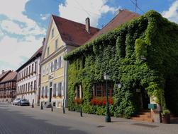 Lauterbourg France Town