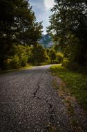 Road Mountain Trees