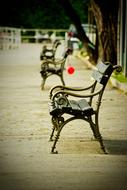 Park Bench Autumn