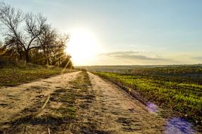 Primer Sunset Road