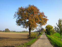 Germany Fields Sky