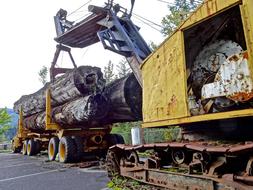 Loading Lumber Timber Truck