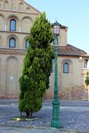 Street Lamp Tree Road