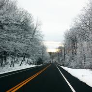 Road Path and snowy Tree