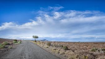 Road Tree Clouds