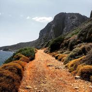 Road Path Grass