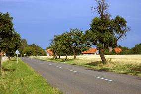 Rural Landscape Road