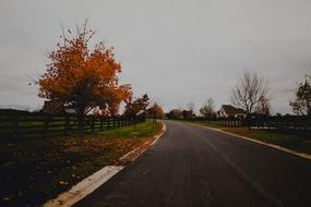 Road Path Fence