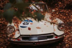 fallen leaves on Car Vehicle