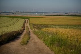 Field Away Landscape