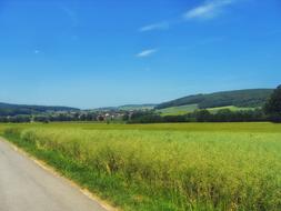 Germany Field Plants