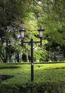 Street Lamp Park