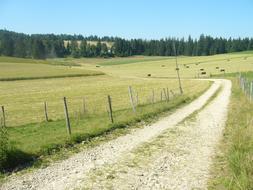 Switzerland Road on field