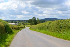 Road Landscape Asphalt