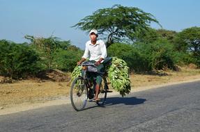 Bike Cyclists Transport