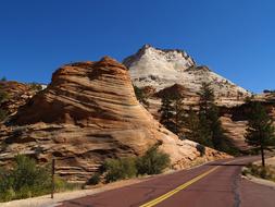 Zion National Park Utah Usa Red