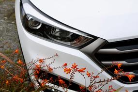 Auto Parked Spotlight