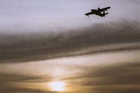 Airplane Flying Travel