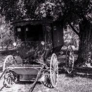 Buggy Carriage Amish