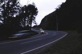 Road Path Green