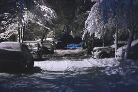 snow covered cars by the roadside