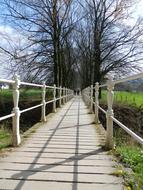 Bridge Pathway Nature