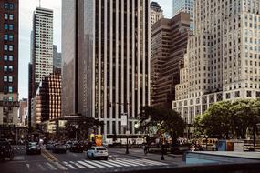 Skyline City Architecture