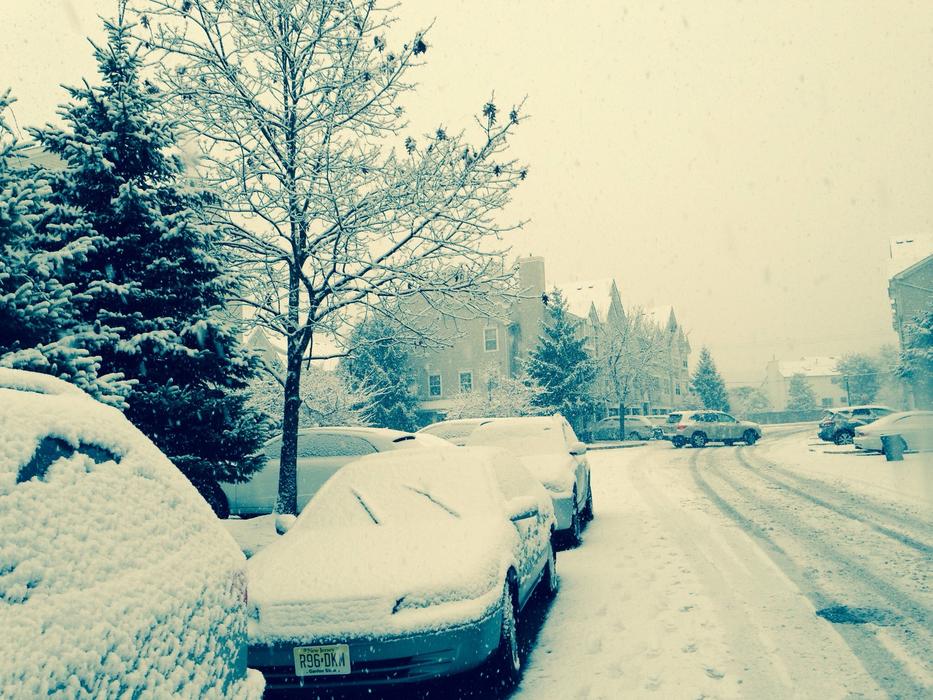 Winter White Snow