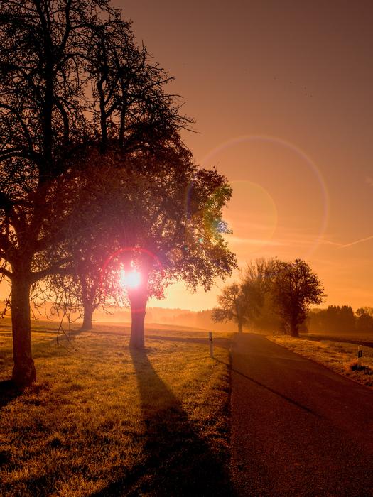 Landscape Road Sunrise