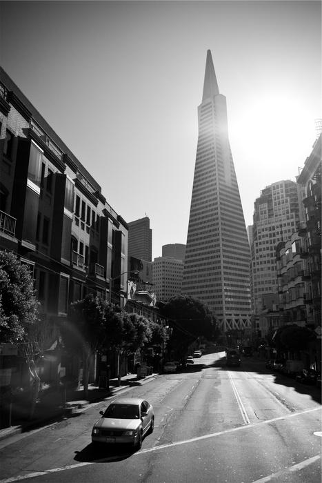 San Francisco City Buildings