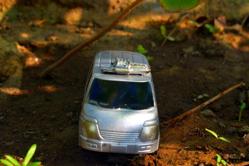Van Toy In Woods