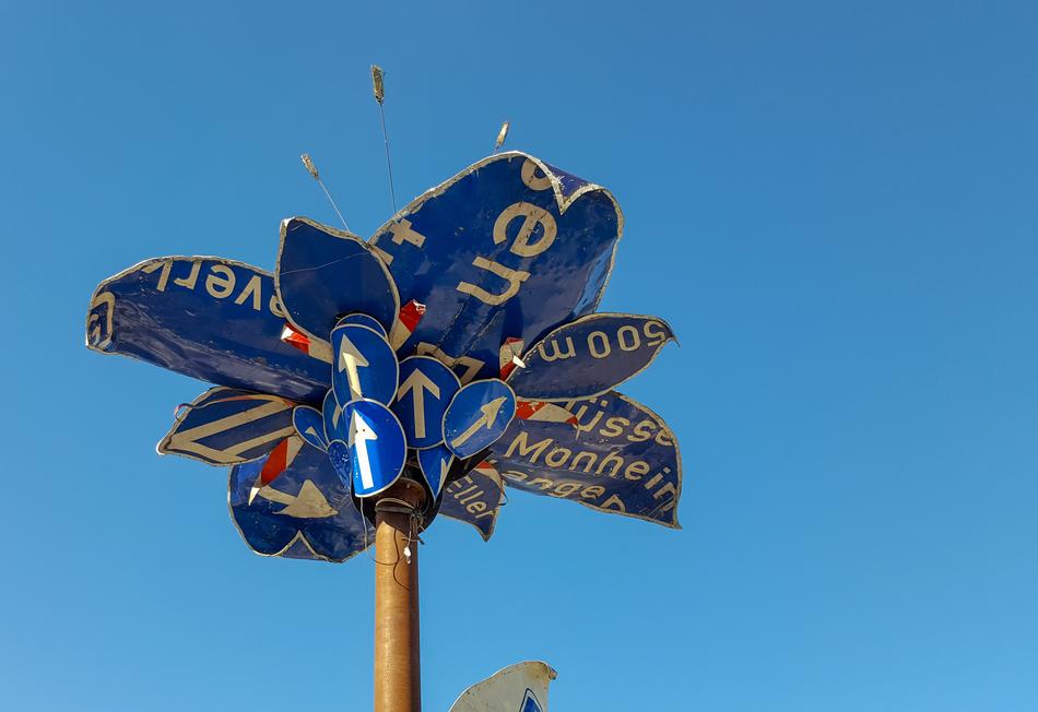 Palm Leaves of road signs