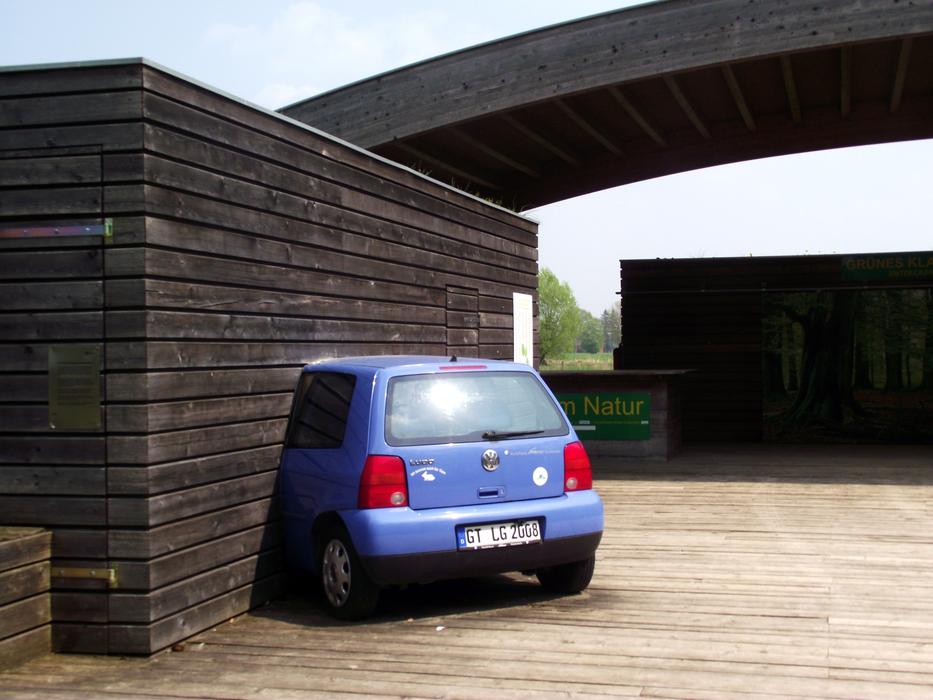 Car In The Home Blue State Garden