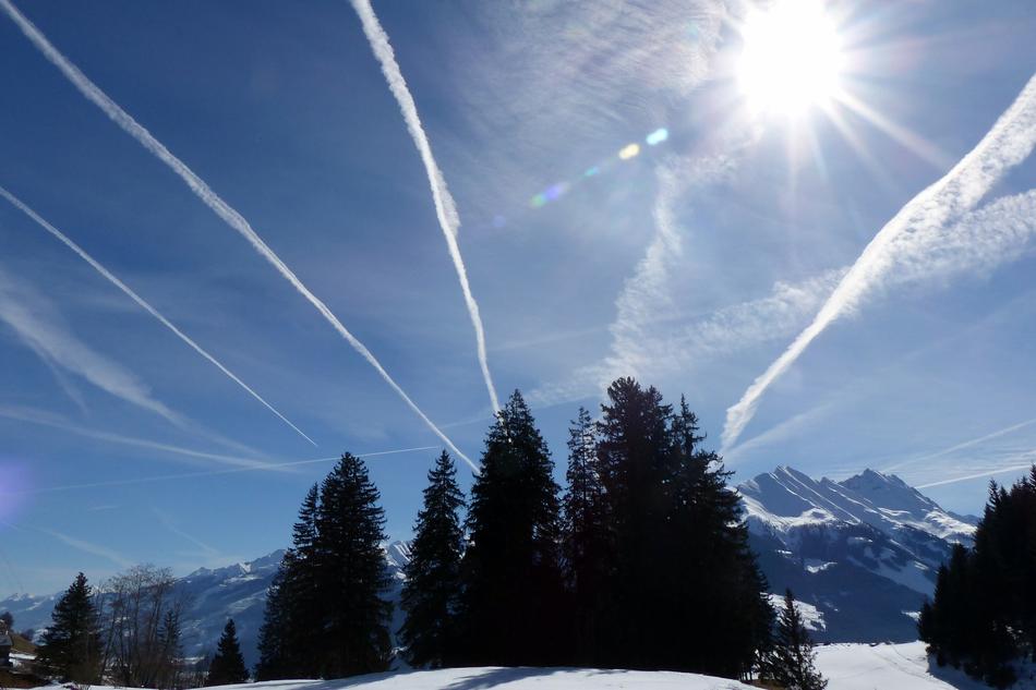 Grove Of Trees Spruce Contrail Air