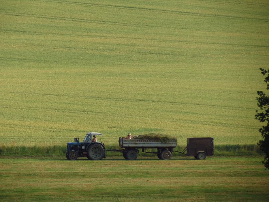 tractor with trailer rides on green grass