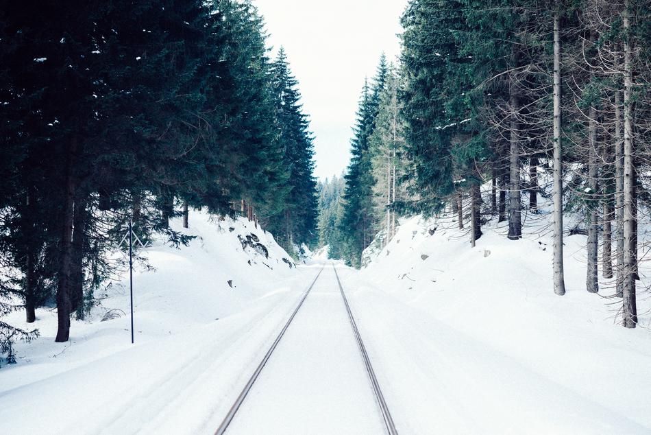 Snow Winter White