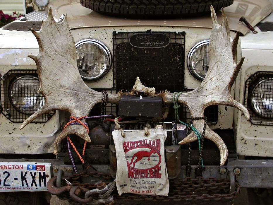 Car Vehicle Moose