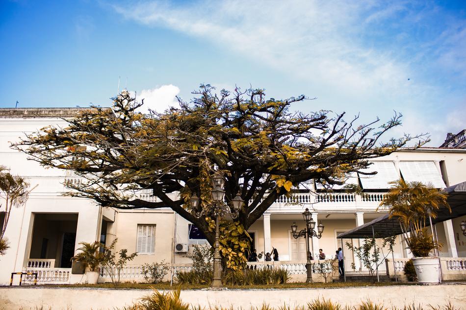 Architecture Tree Outdoors