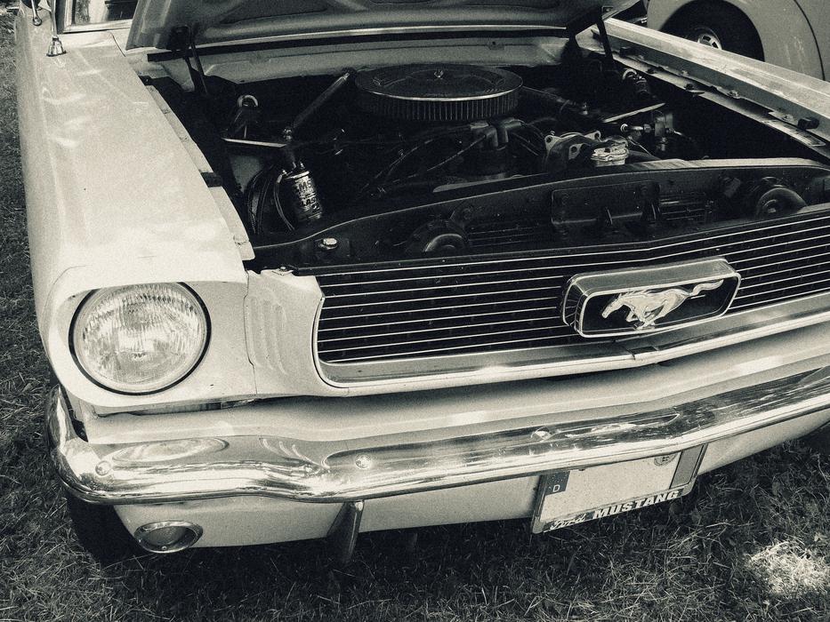 Old Past Antique