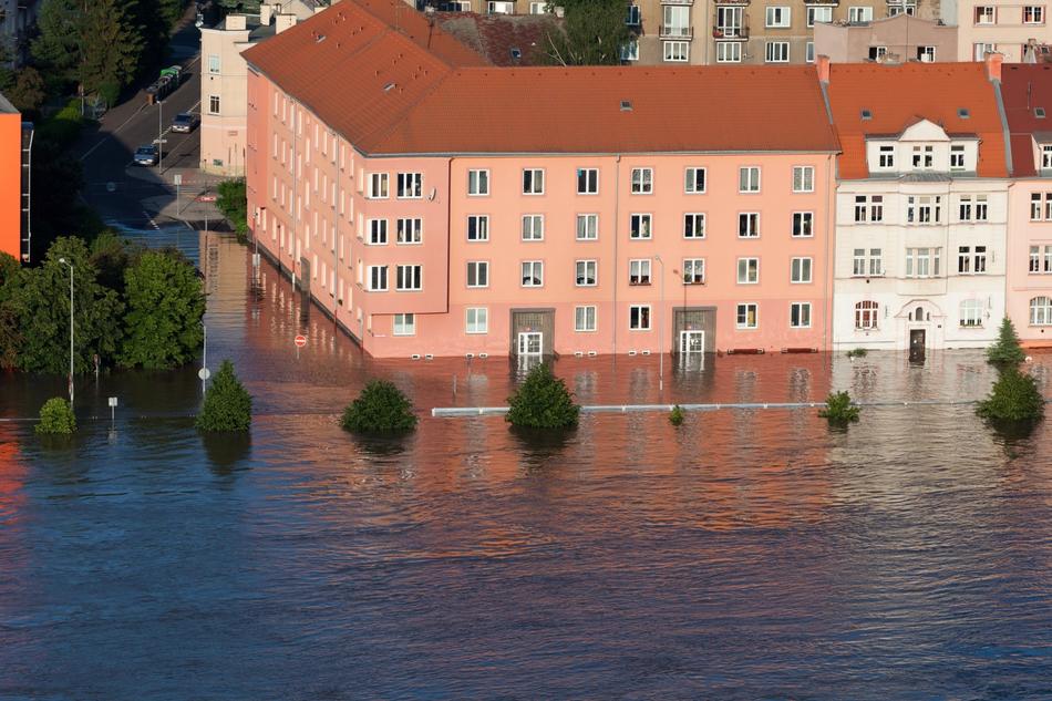Climate Danger Disaster