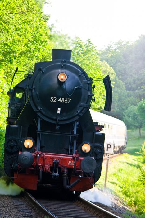 steam locomotive rides on rails along green trees